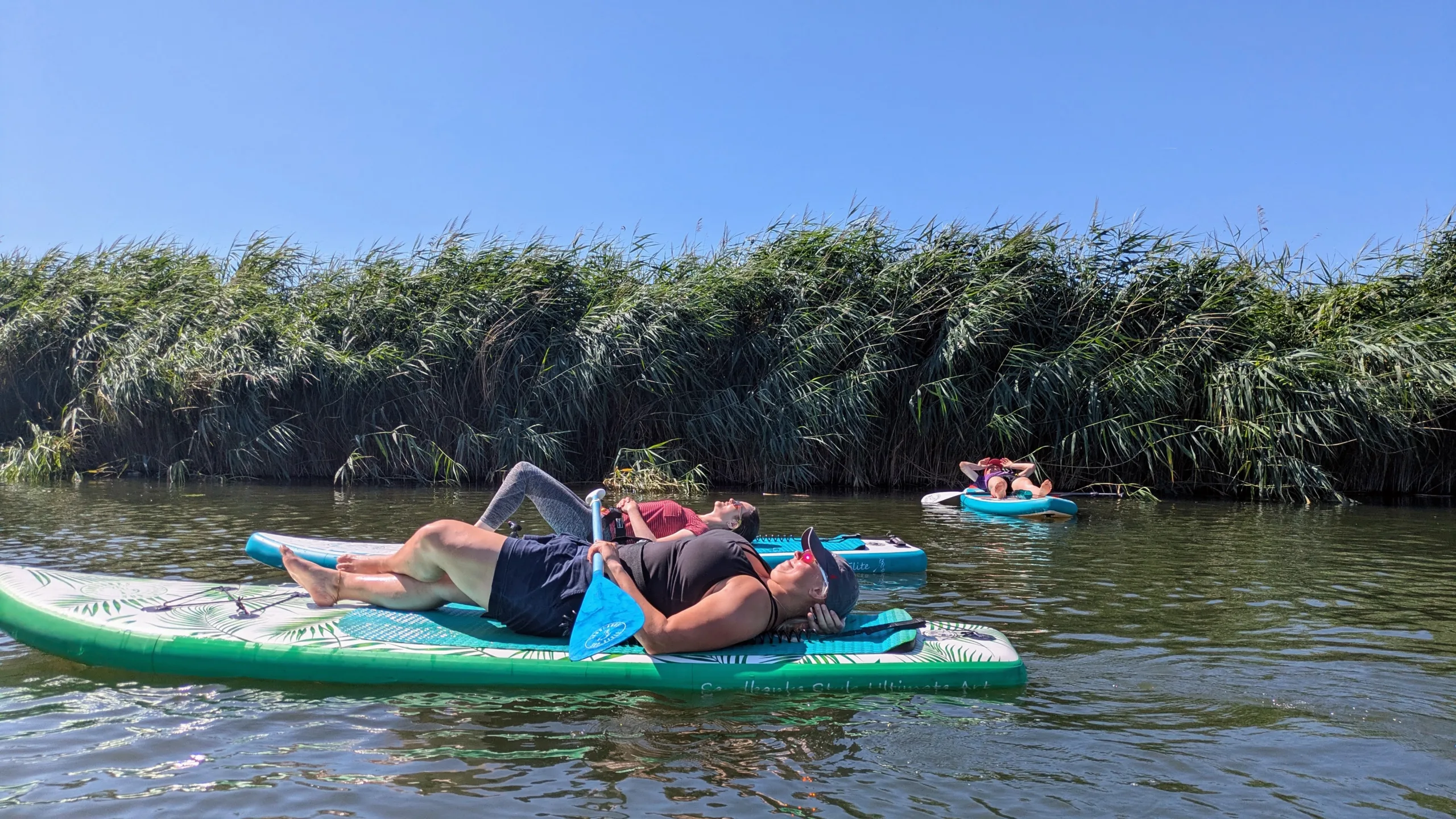 Paddleboarding on the River Avon near Defford, Worcestershire